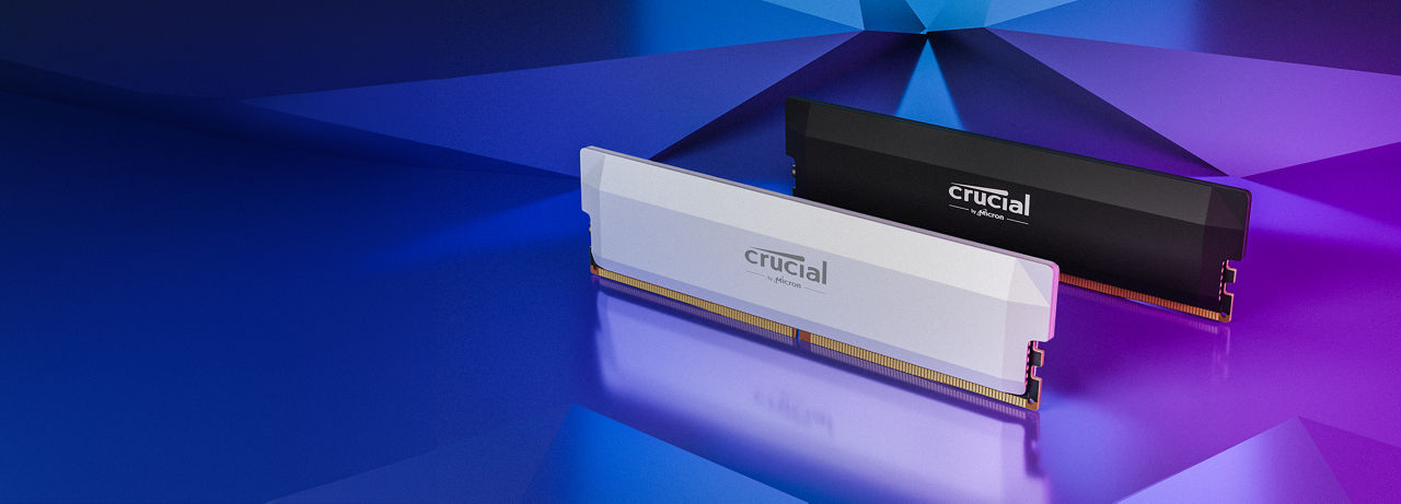 DDR5 Pro OC Gaming DRAM