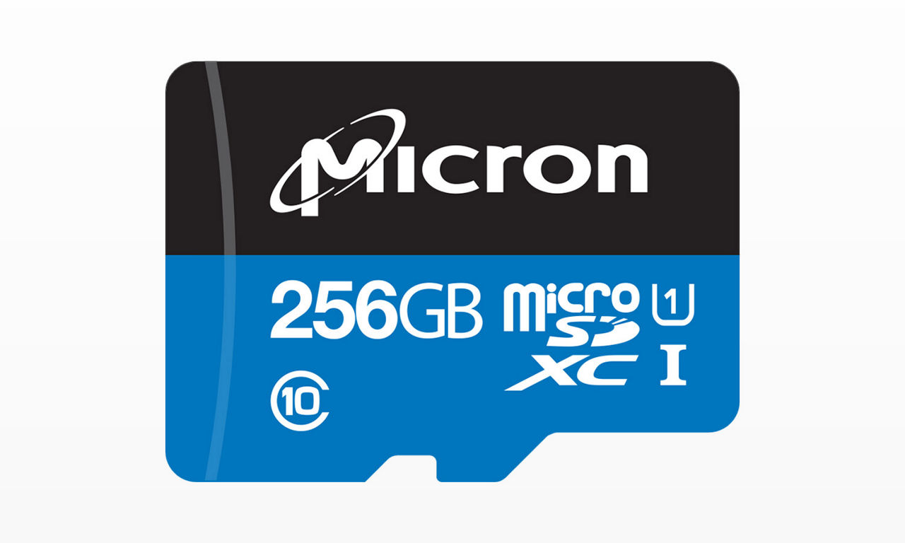 256GB microSD Card