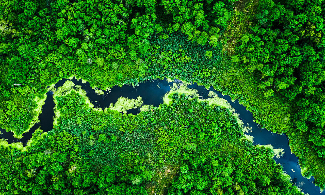 Corporate ventures and sustainable financing