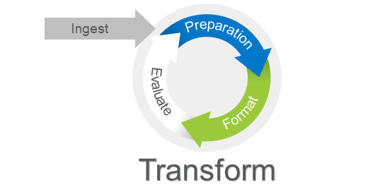 data ingest and transform process