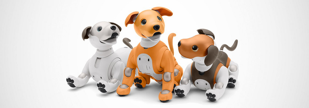 Image of three robotic dogs