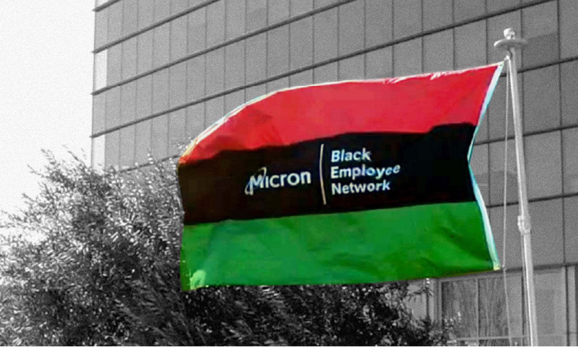 黑人历史赋予了我们彼此联系，建立和谐社区的力量