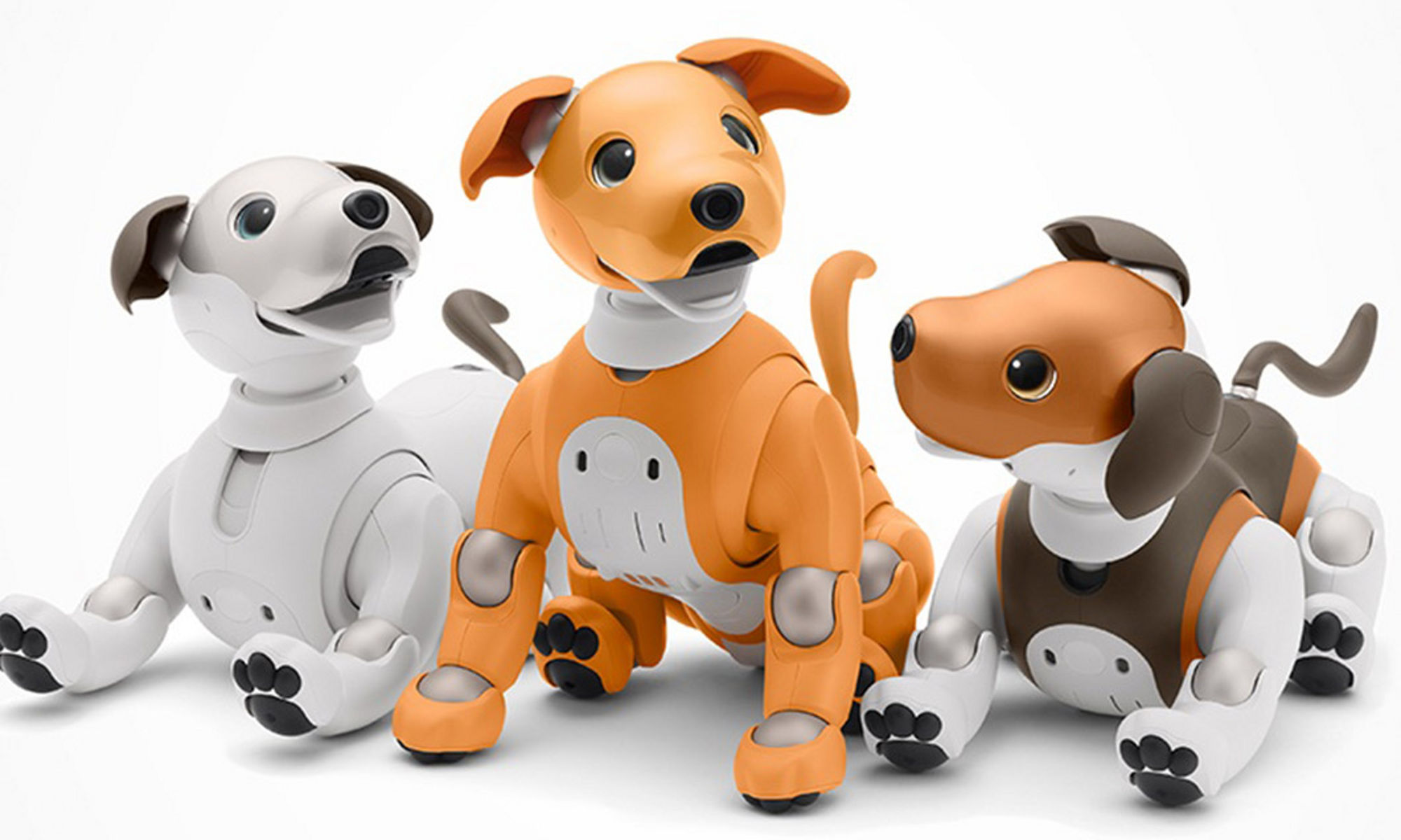 Aibo robot dogs