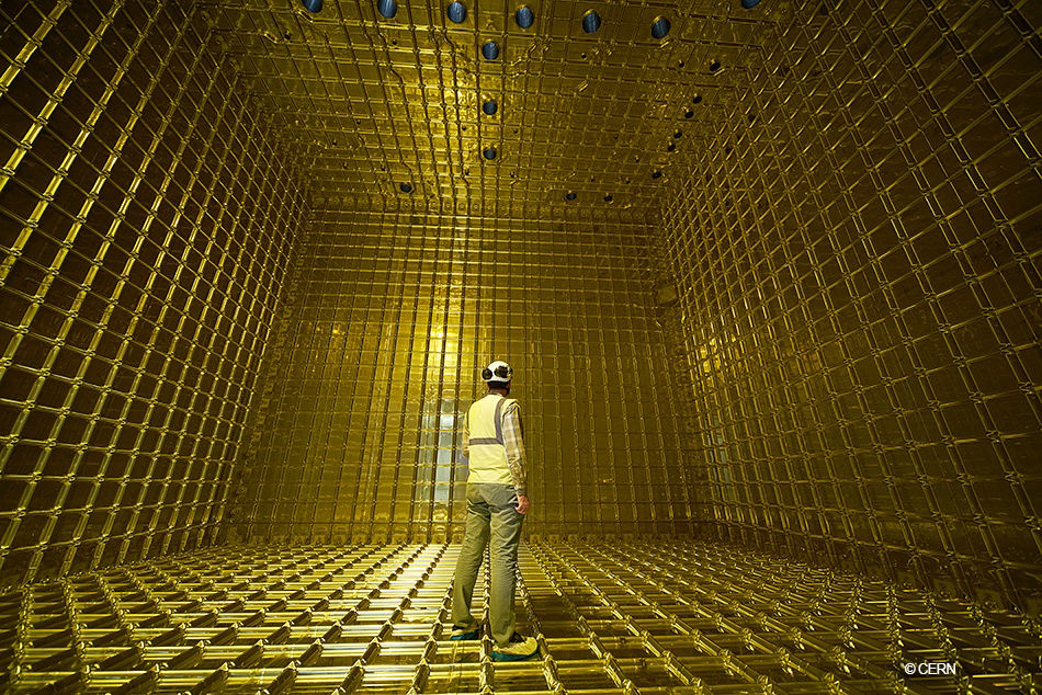 Man standing inside Prototype DUNE neutrino detection chamber