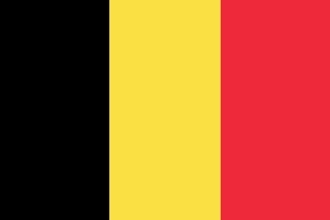 Belgian flag (Vertical stripes of Black, Yellow and Red, left to right)