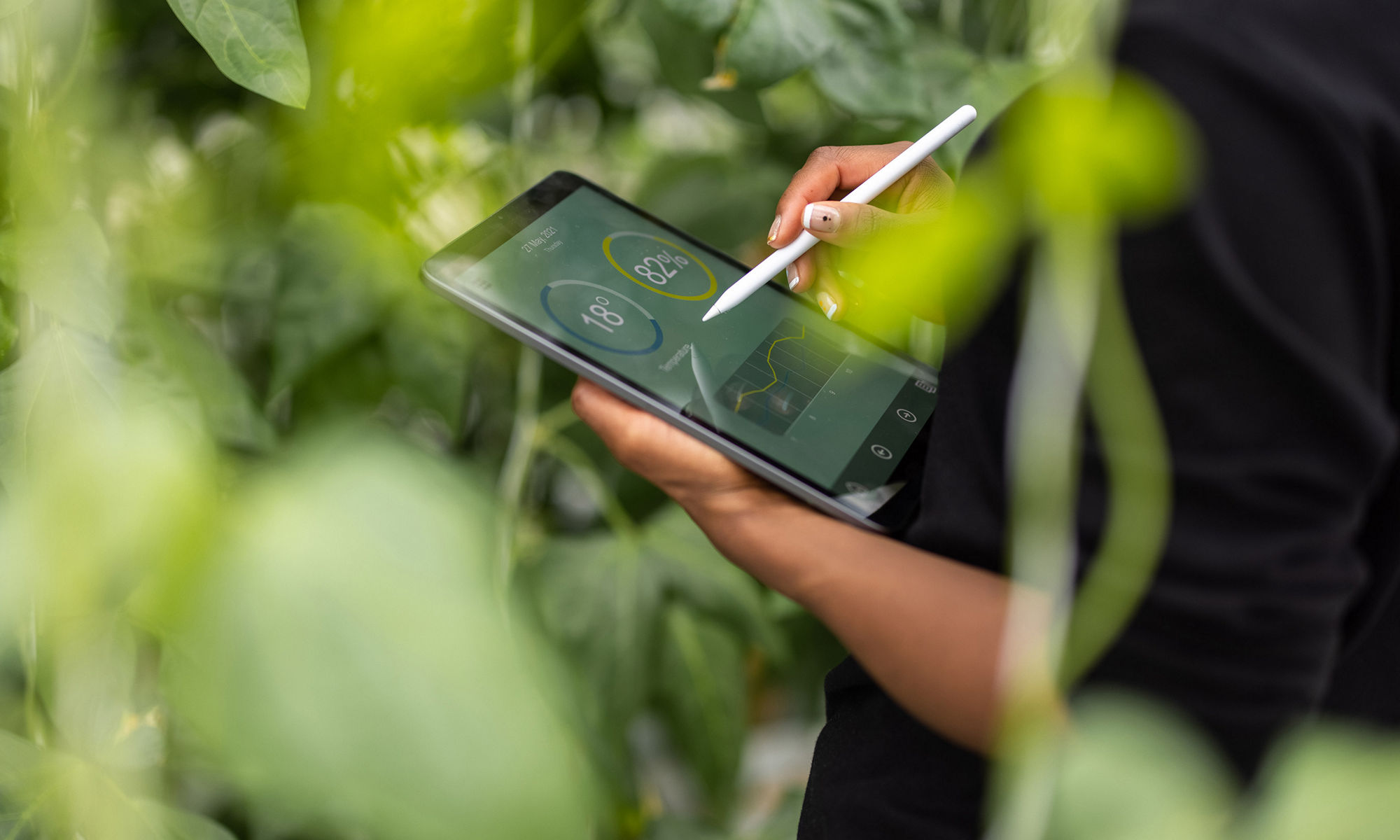 person operating ipad among leaves