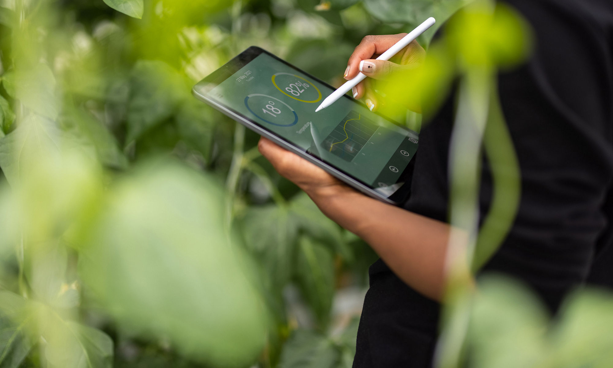 ipad among leaves