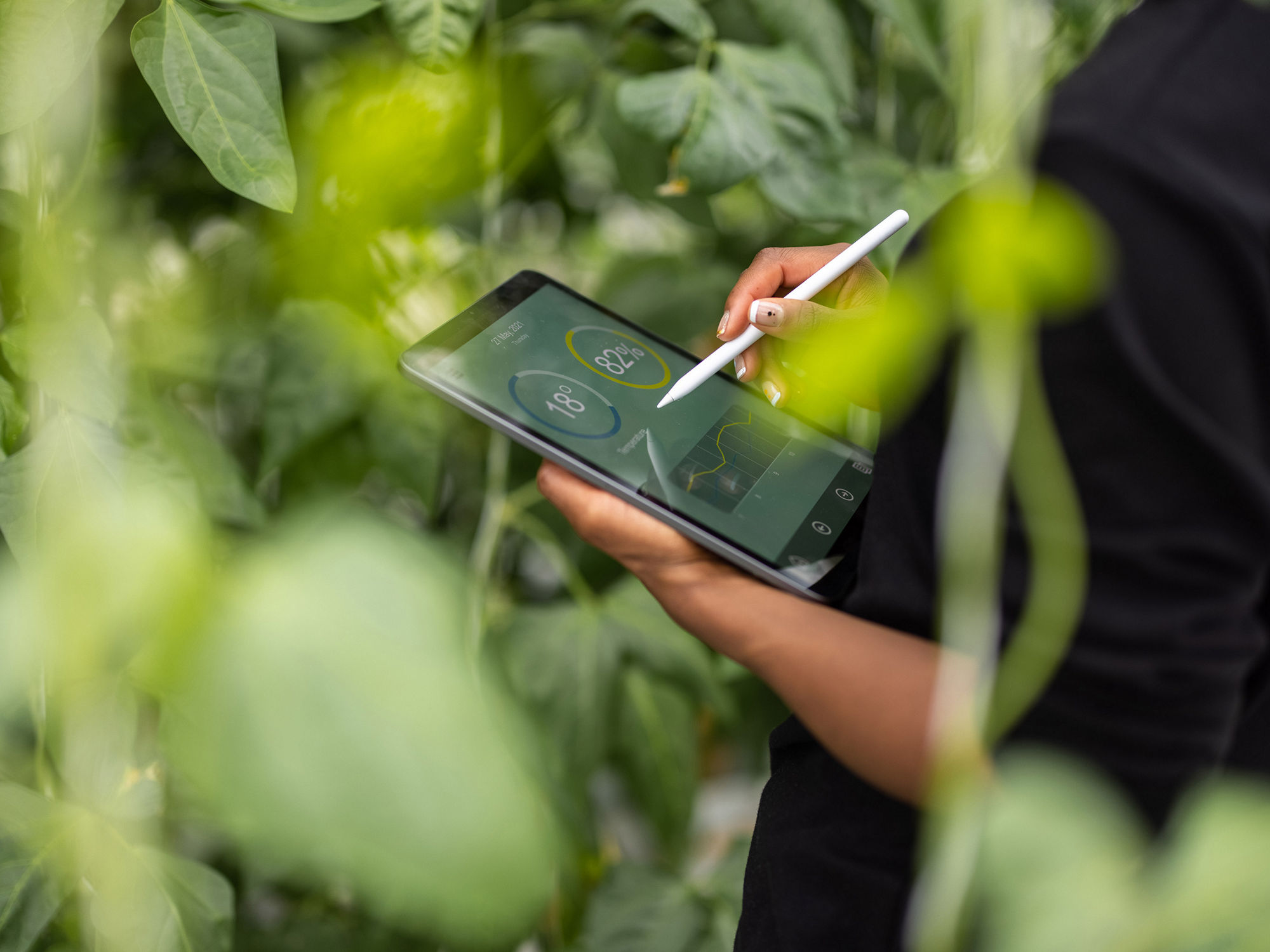 Person working on a tablet with a stylus while standing amidst green foliage