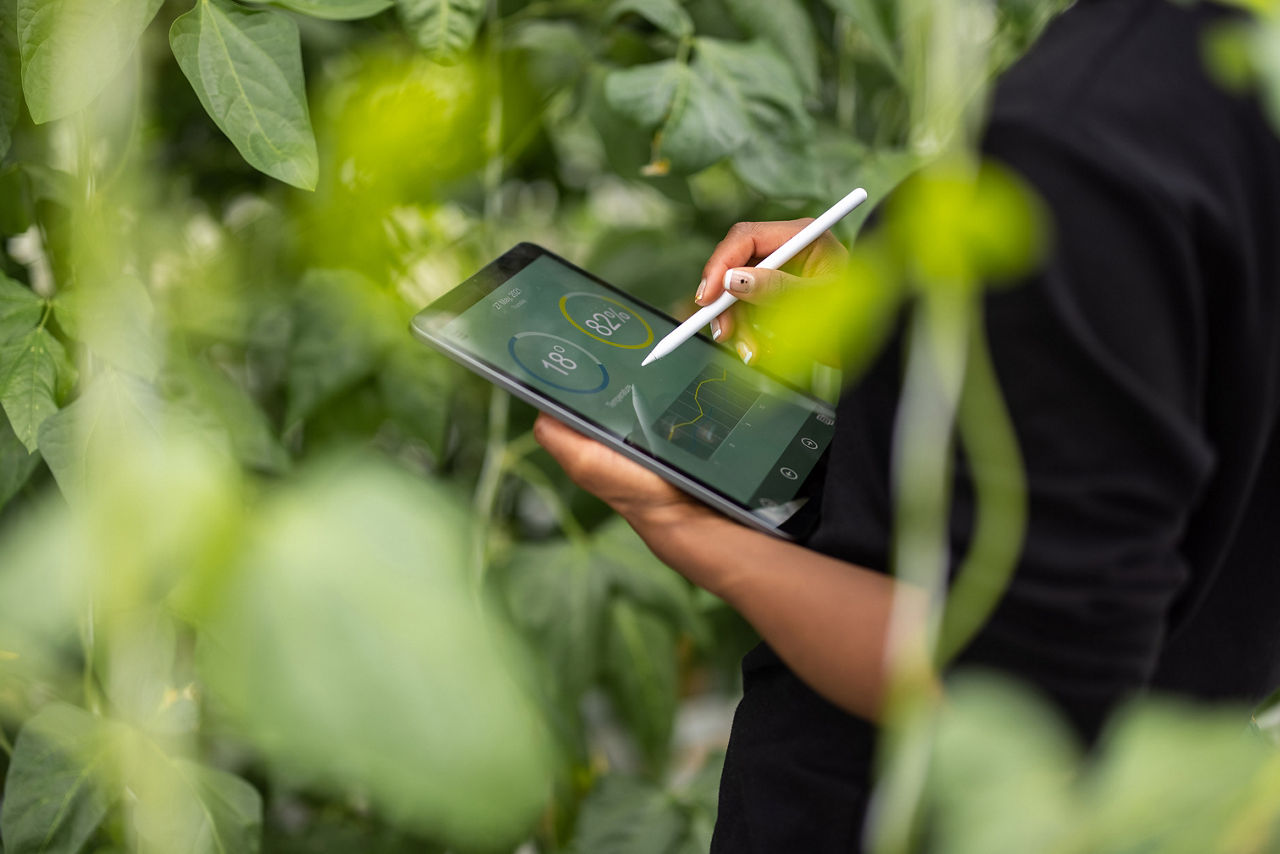 person writing on a tablet device in a greenhouse environment