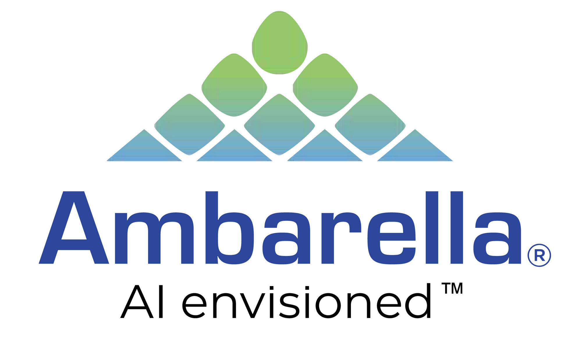 Ambarella 徽标