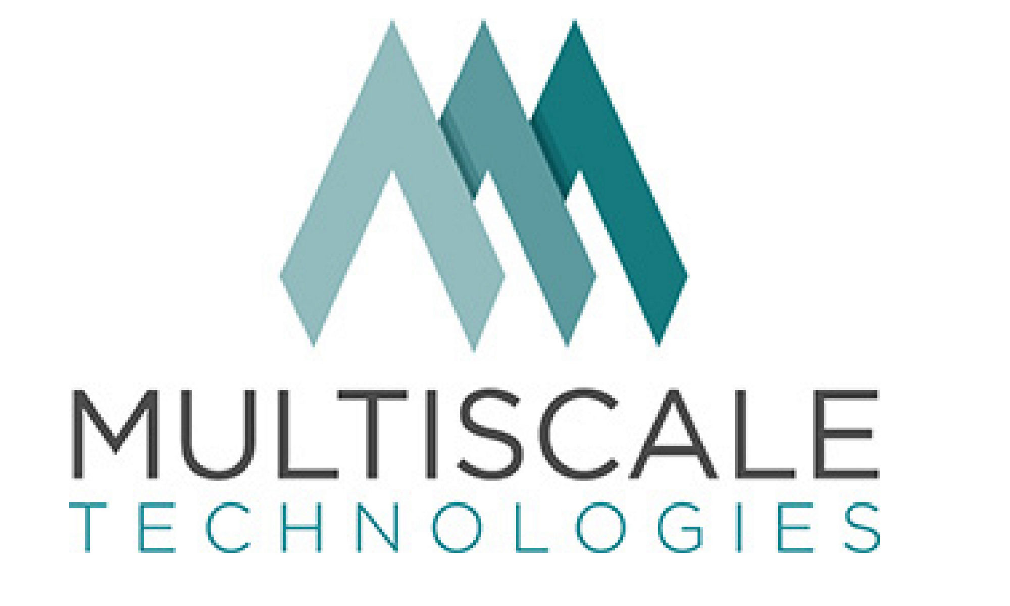 Multiscale Technologiesの会社ロゴ