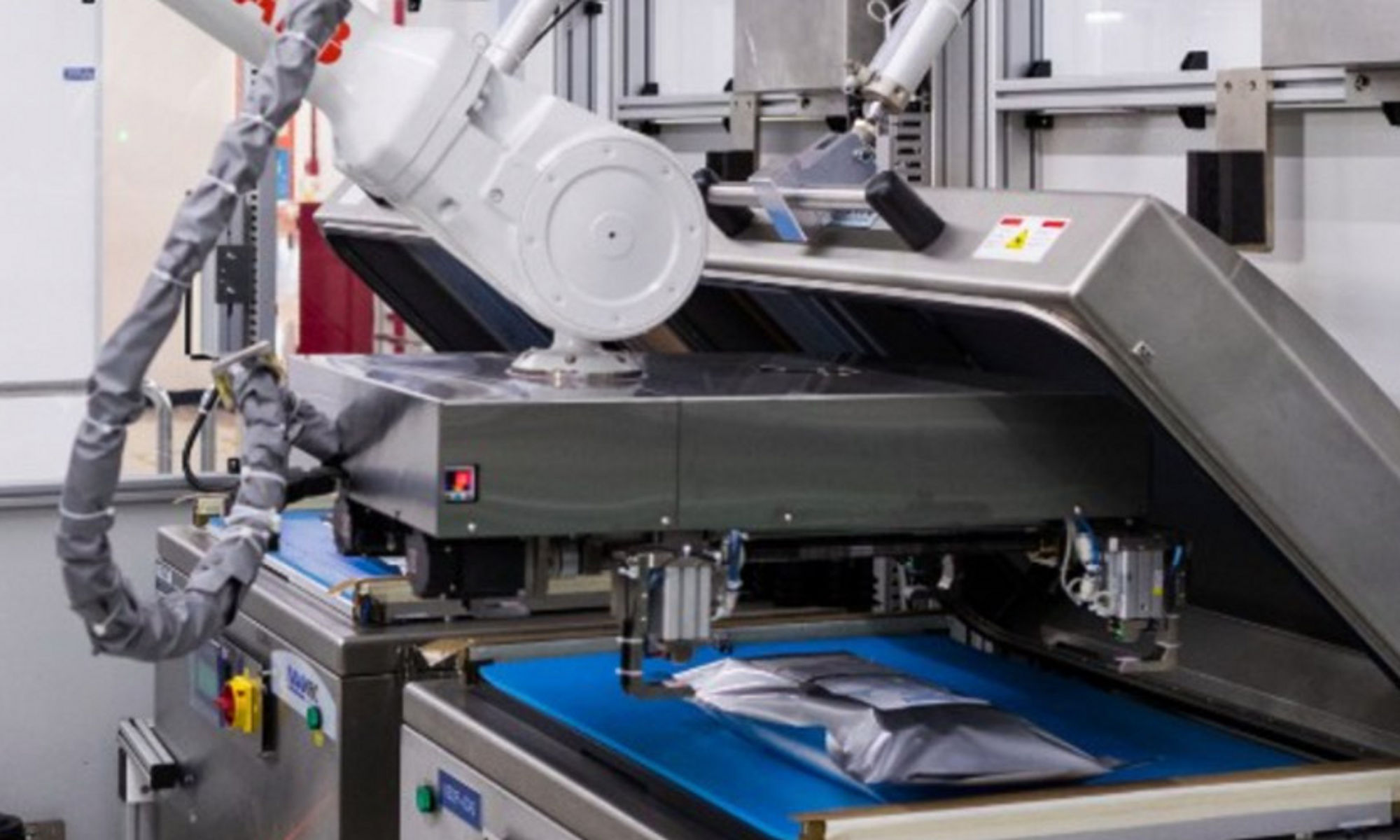 2021 年可持续发展报告：里程碑和变革之年