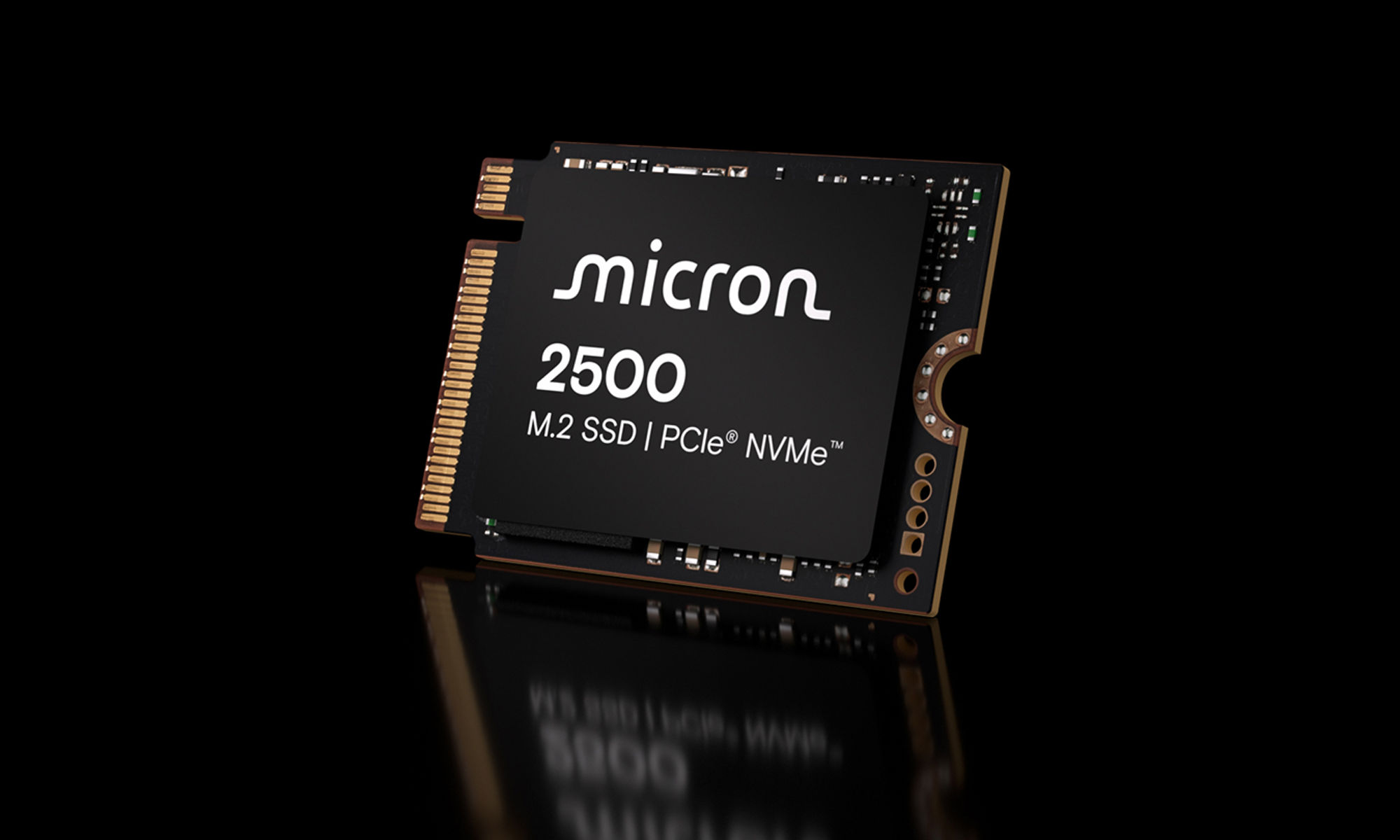 2550 micron chip