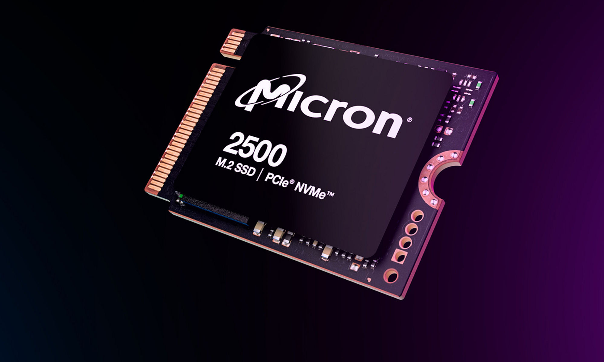2550 micron chip