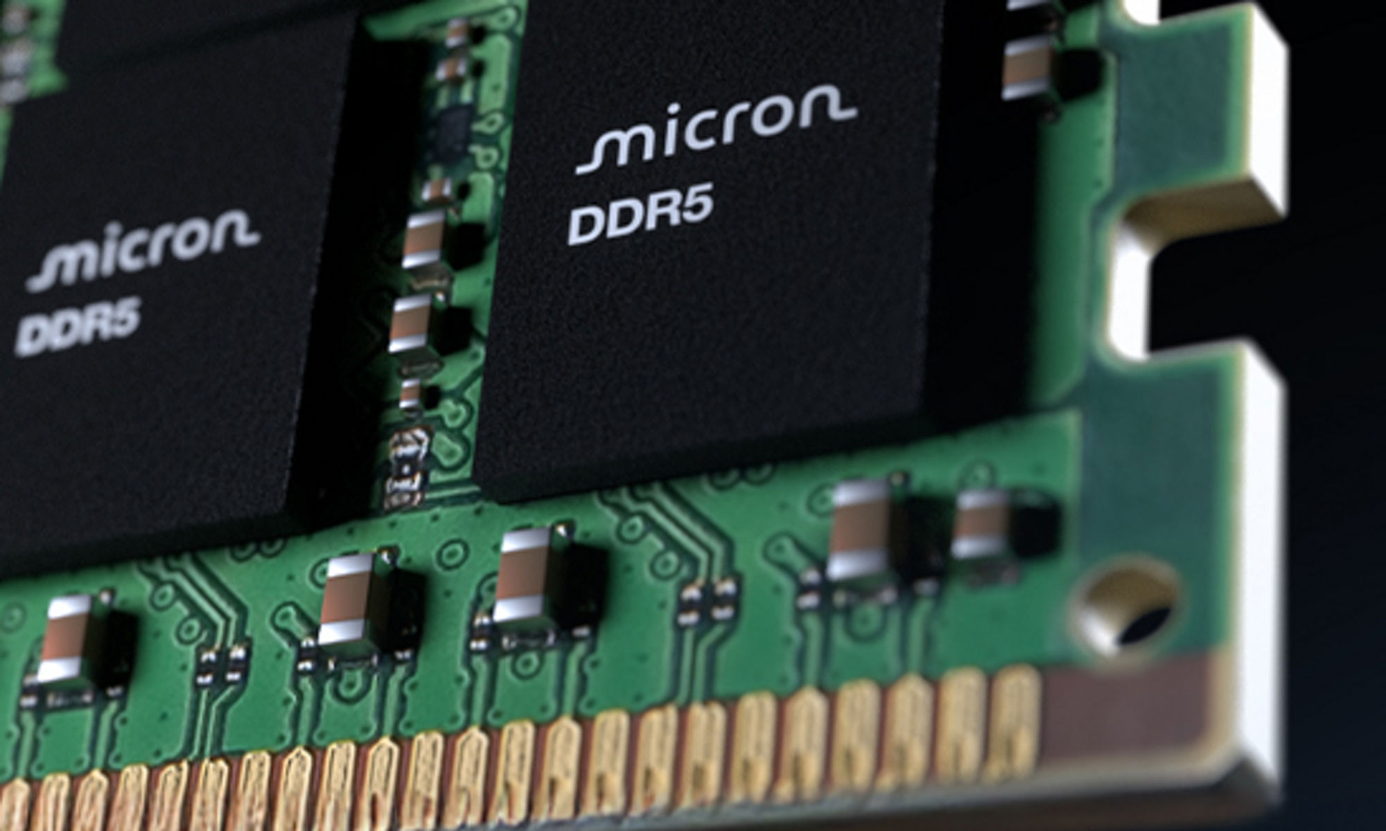 Close-up of a DDR5 SDRAM module