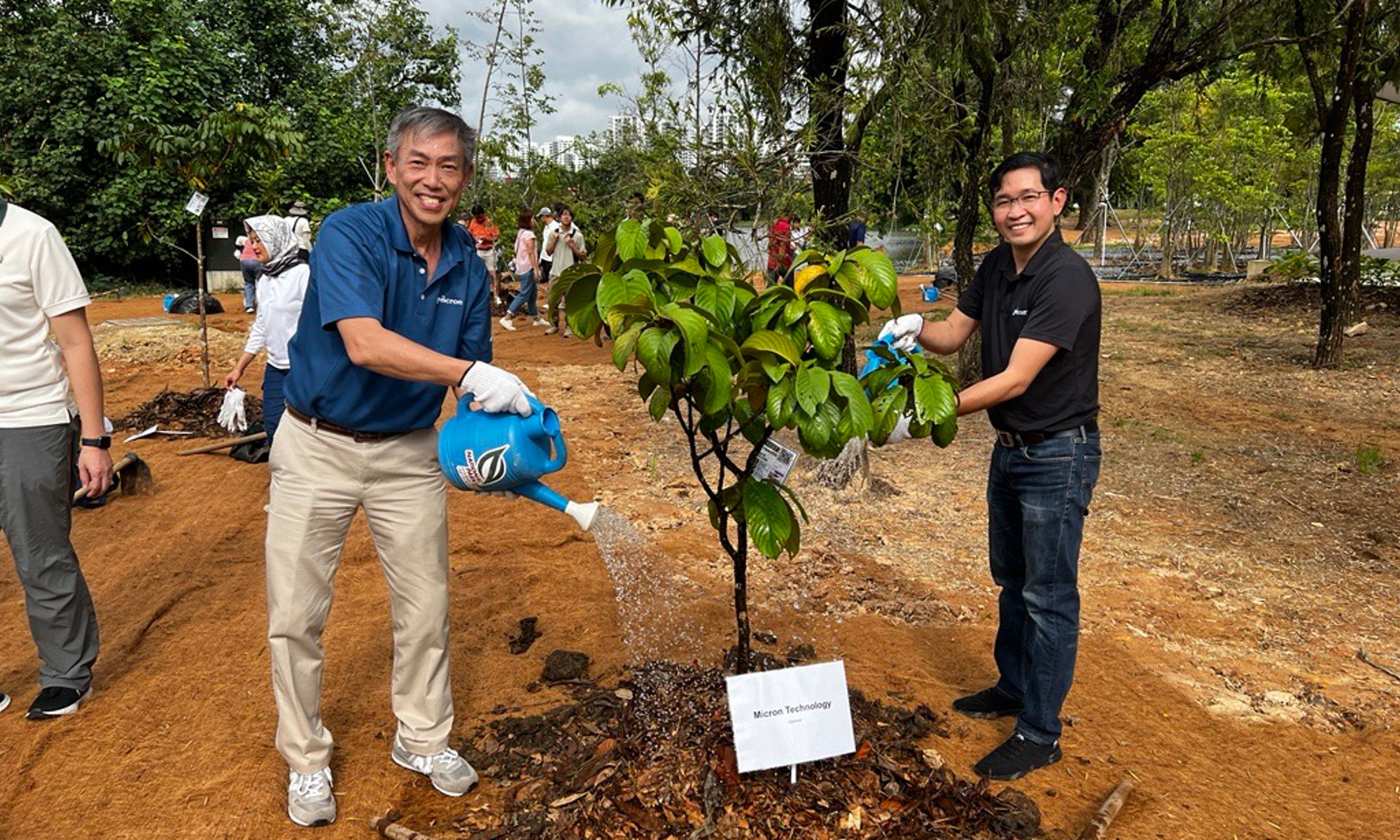 Image of man planting tree