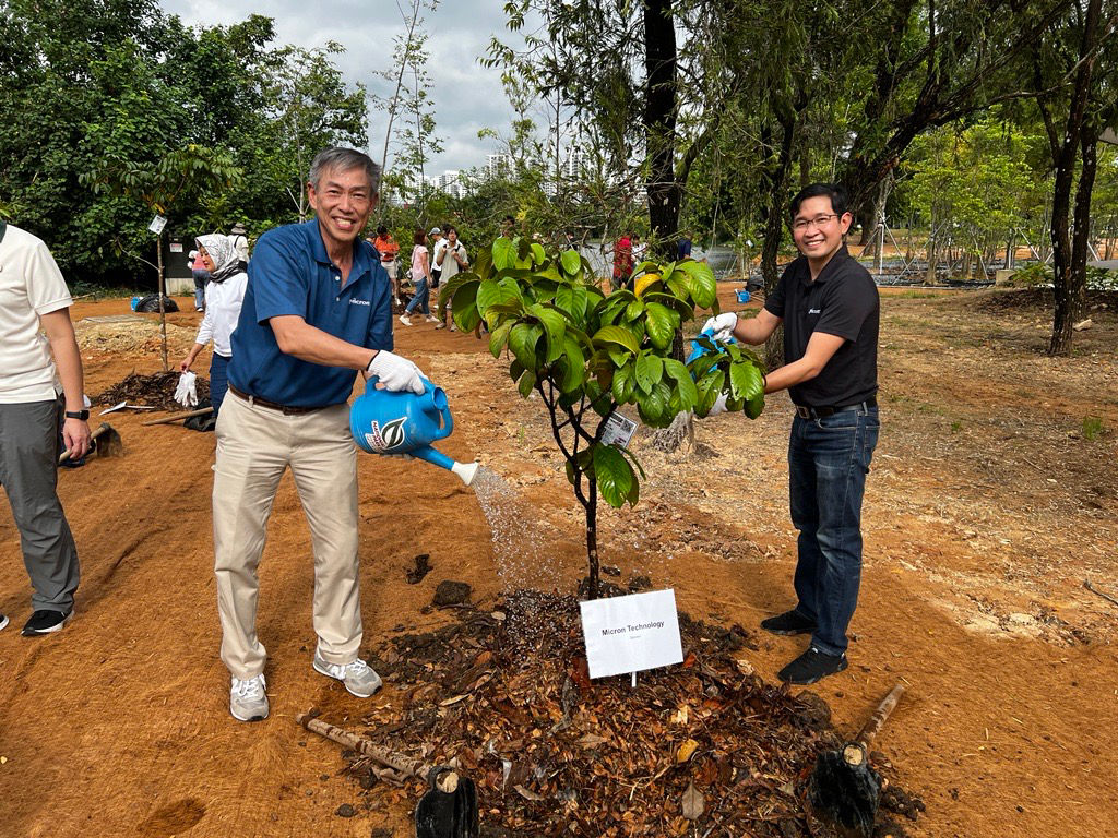 Image of man planting tree