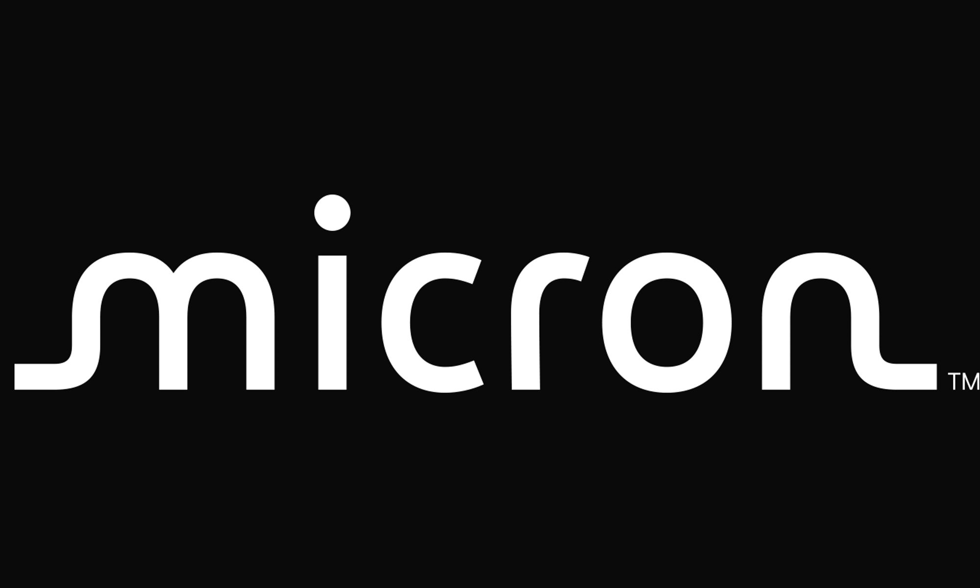 Micron logos